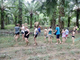 KHAOSOK ELEPHANT SANCTUARY