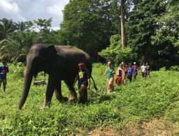KHAOSOK ELEPHANT SANCTUARY