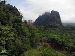 KHAOSOK ELEPHANT SANCTUARY