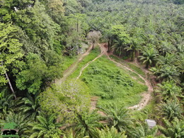 KHAOSOK ELEPHANT SANCTUARY