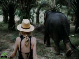 KHAOSOK ELEPHANT SANCTUARY