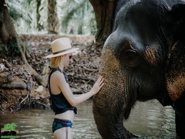 KHAOSOK ELEPHANT SANCTUARY