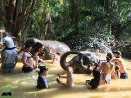 KHAOSOK ELEPHANT SANCTUARY