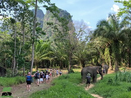 KHAOSOK ELEPHANT SANCTUARY