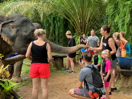 KHAOSOK ELEPHANT SANCTUARY