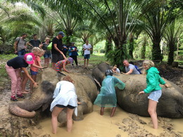 KHAOSOK ELEPHANT SANCTUARY