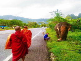 KHAOSOK ELEPHANT SANCTUARY