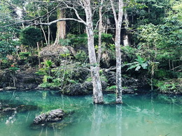 KHAOSOK ELEPHANT SANCTUARY